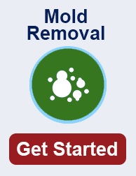 mold remediation in Temecula CA